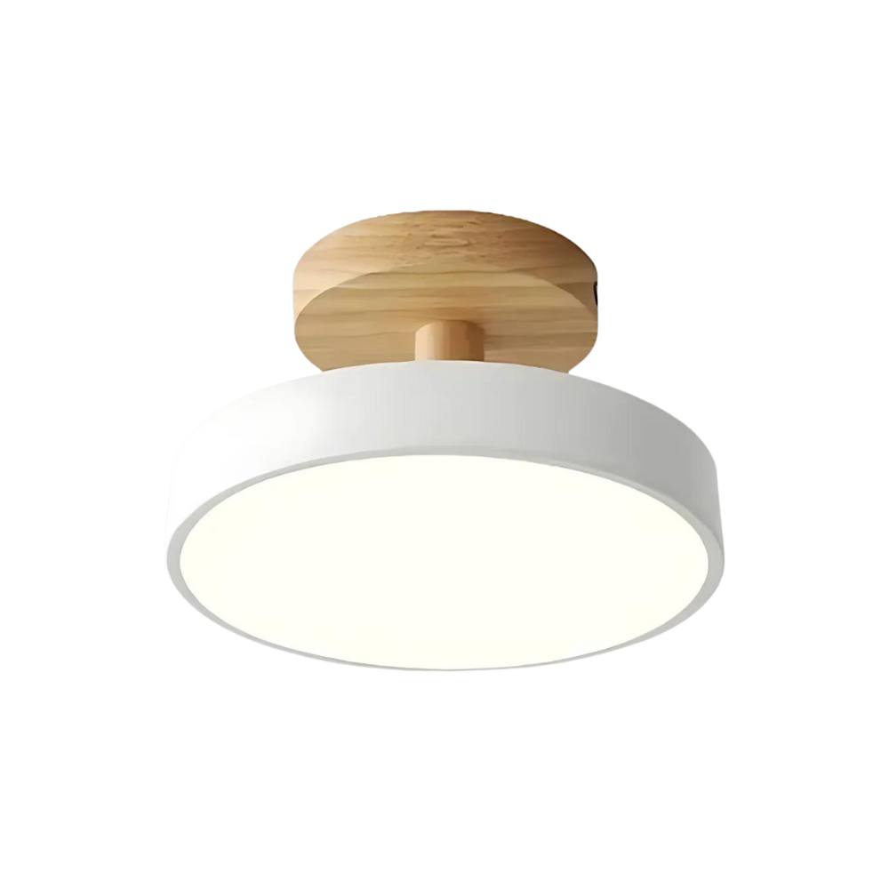 Modern Thin LED Ceiling Lamp