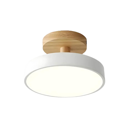 Modern Thin LED Ceiling Lamp