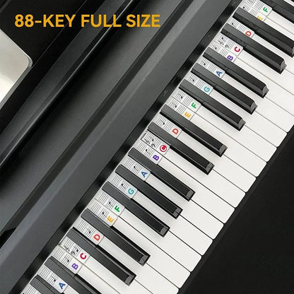 Easy Peel Piano Key Stickers