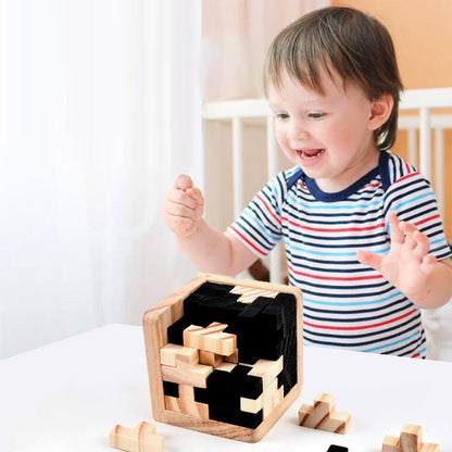 Challenging Wooden Logic Puzzle Game