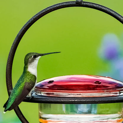 Decorative Bird Design Water Fountain