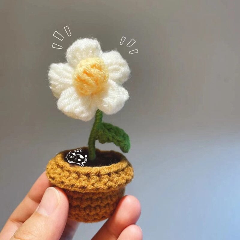 Colorful Hand Knit Flower Decor