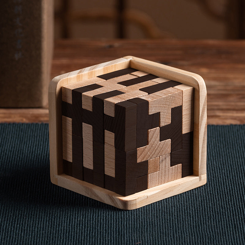 Challenging Wooden Logic Puzzle Game