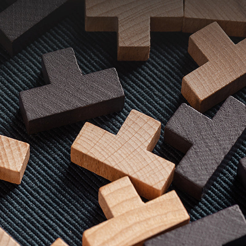 Challenging Wooden Logic Puzzle Game