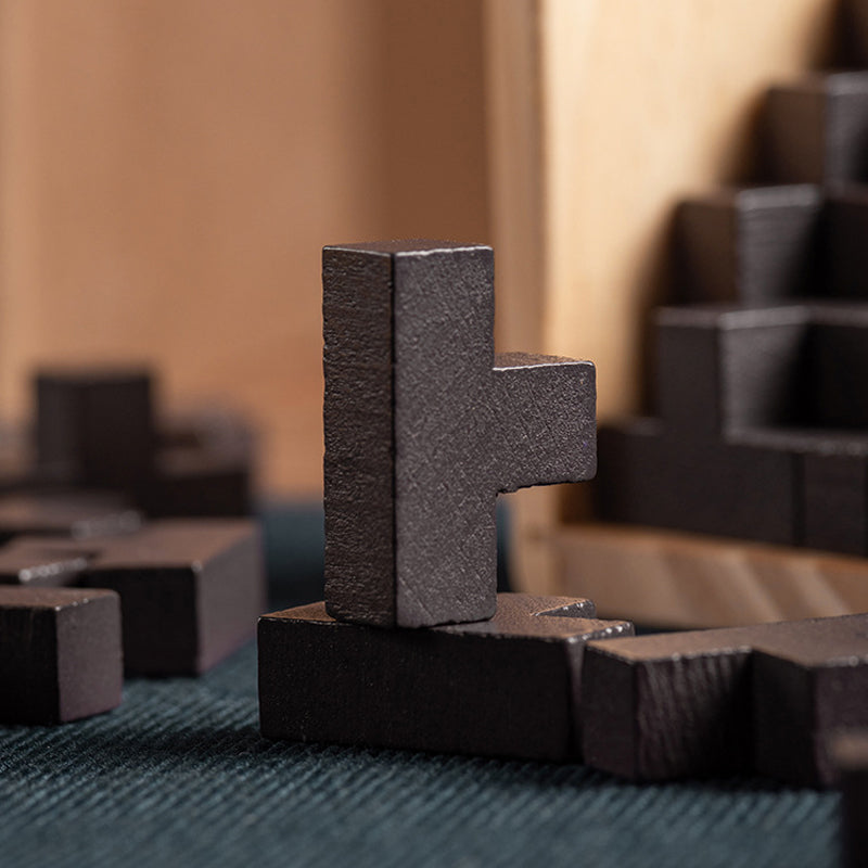 Challenging Wooden Logic Puzzle Game