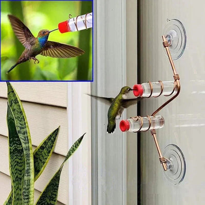 Bird Watching Window Bird Feeder