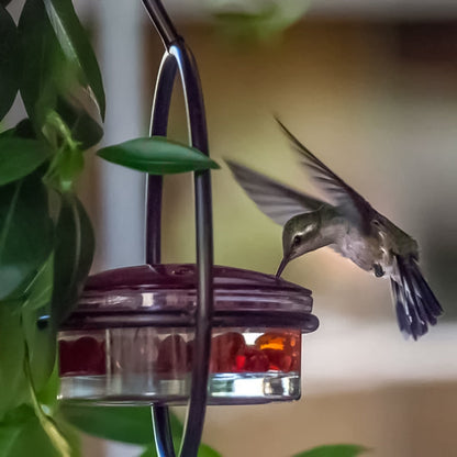 Decorative Bird Design Water Fountain