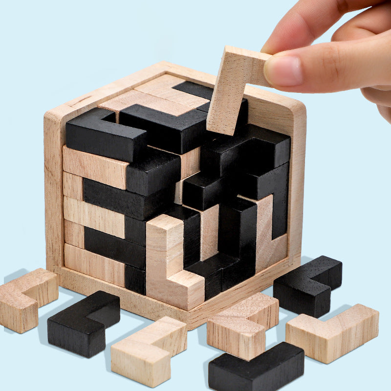 Challenging Wooden Logic Puzzle Game