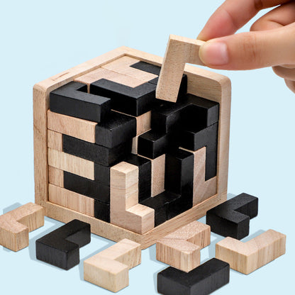 Challenging Wooden Logic Puzzle Game