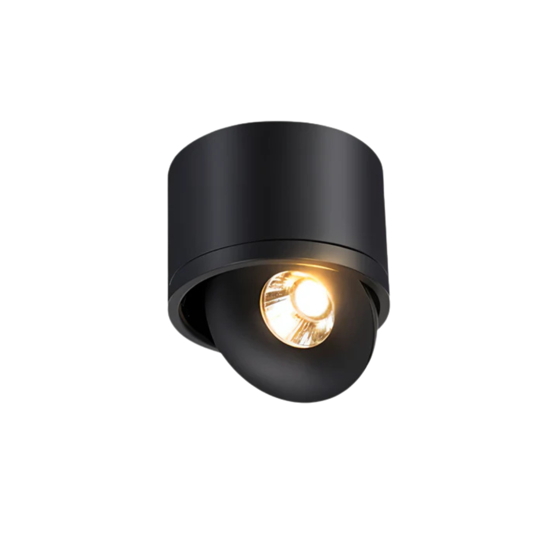 Stylish Contemporary Spin LED Ceiling Lamp