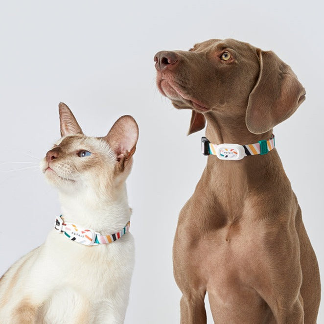 Accurate Pet Tracker Location Collars - Luxicro