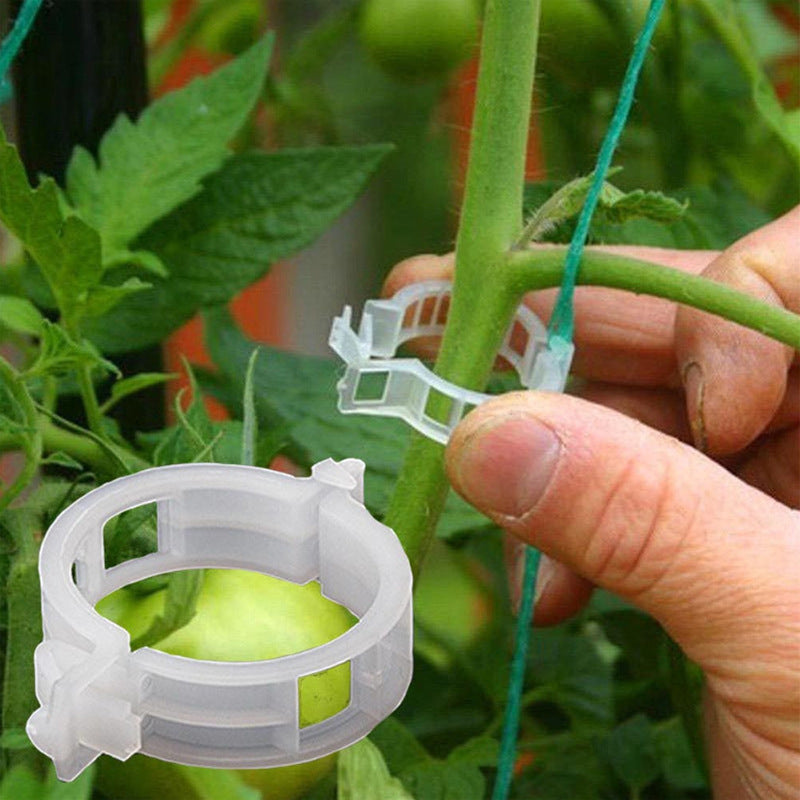 Easy Plant Stem Clip Holder