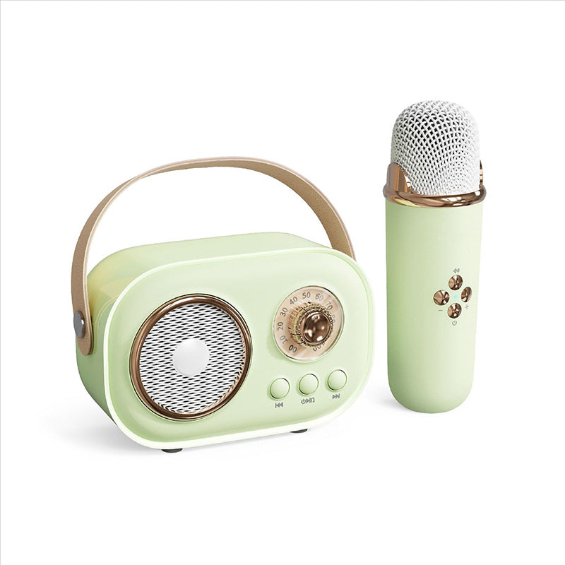Wireless Karaoke Machine with Bluetooth Microphone