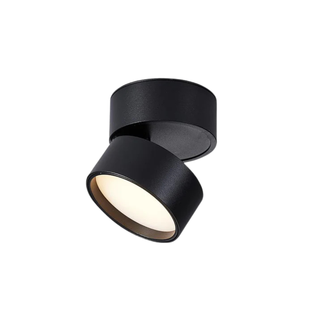 Dimmable Modern Overhead LED Lamp
