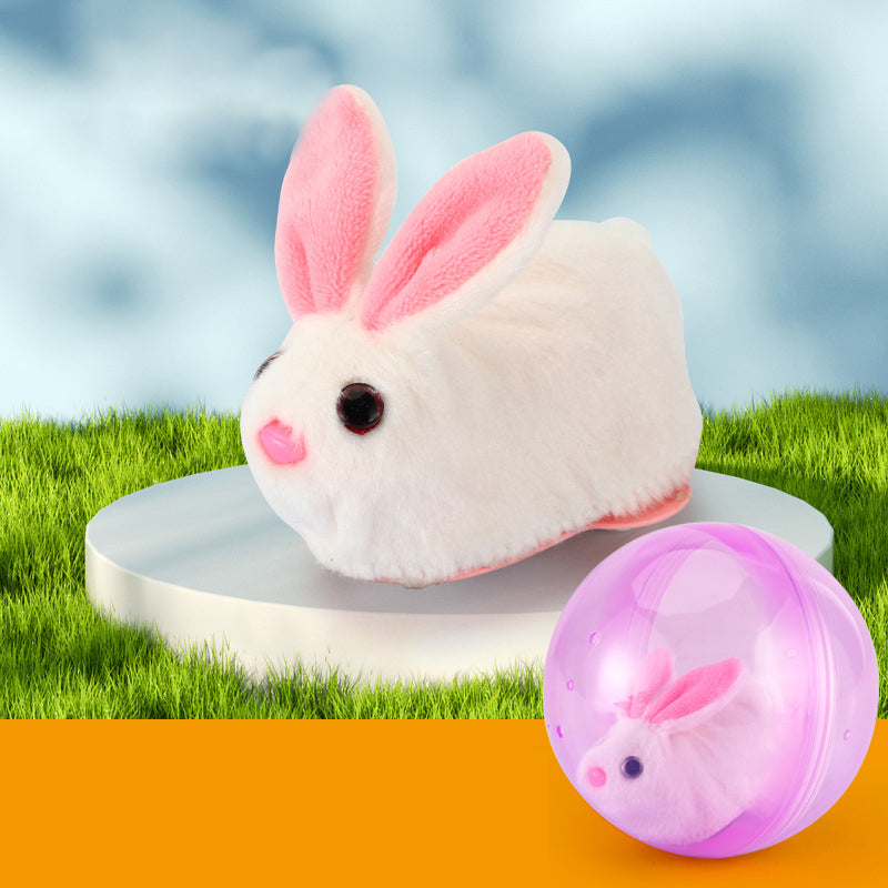 Bouncy Pet Play Ball Toy