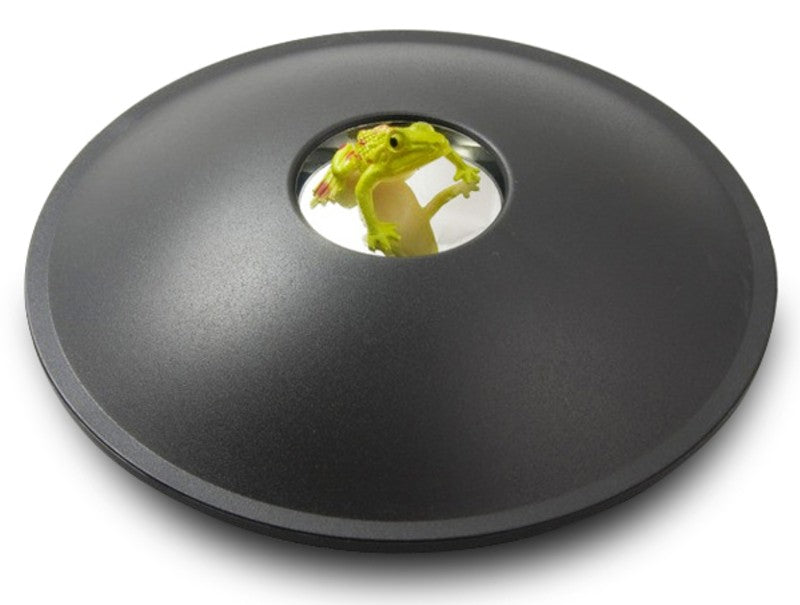3D Hologram Toy with Cool Optical Illusions