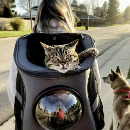 Cozy Cat Hiking Backpack - Breathable Pet Carrier - Luxicro