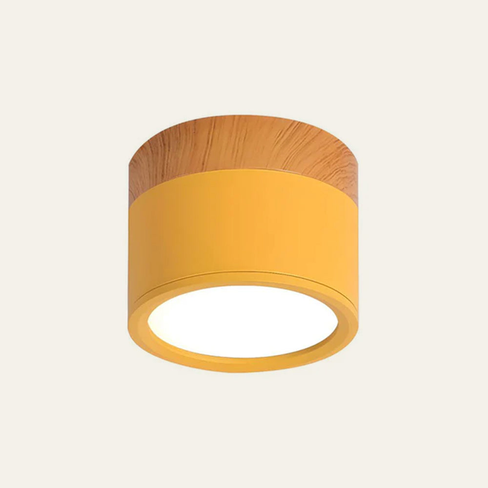 Slim LED Ceiling Light – Modern Overhead Lamp for Home