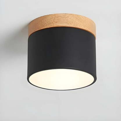 Classic Retro Style LED Ceiling Light