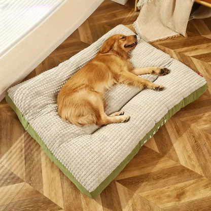 Plush Orthopedic Dog Bed - Durable Foam and Washable Cover