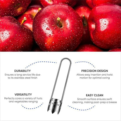Heavy Duty Stainless Steel Core Removal Tool