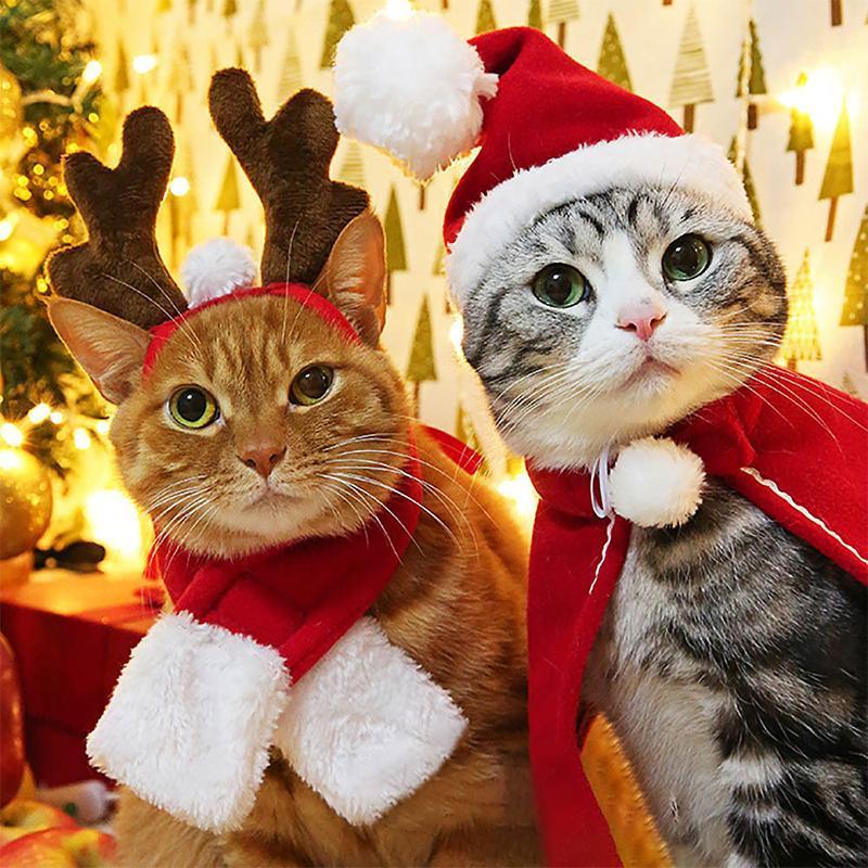 Fun Holiday Pet Costumes - Luxicro