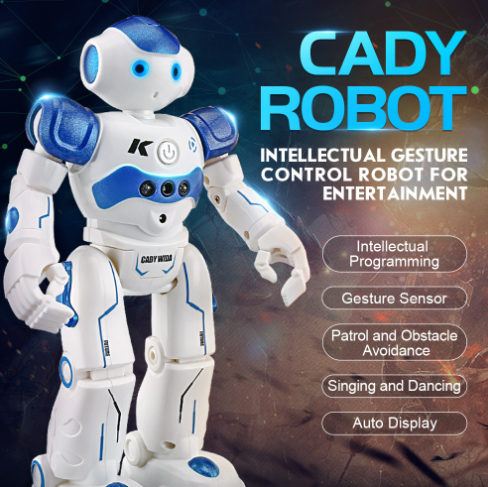 Cool Remote Control Robot Toy - Luxicro