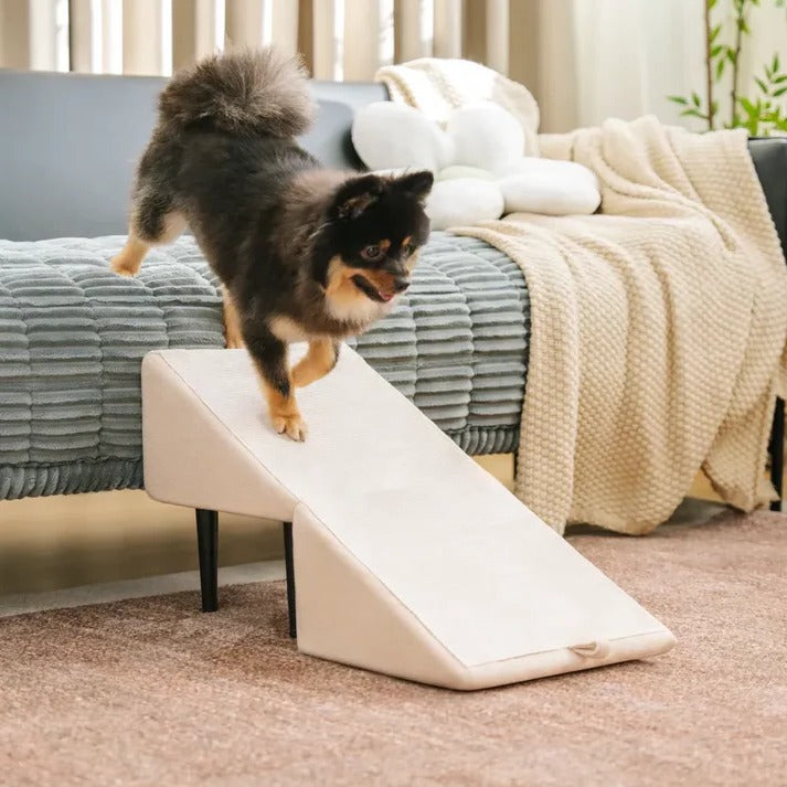 Portable Pet Ramp and Step Stool