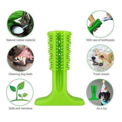 Best Dog Toothbrush for Healthy Teeth