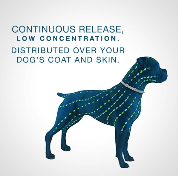 Effective Pest Control Dog Collar