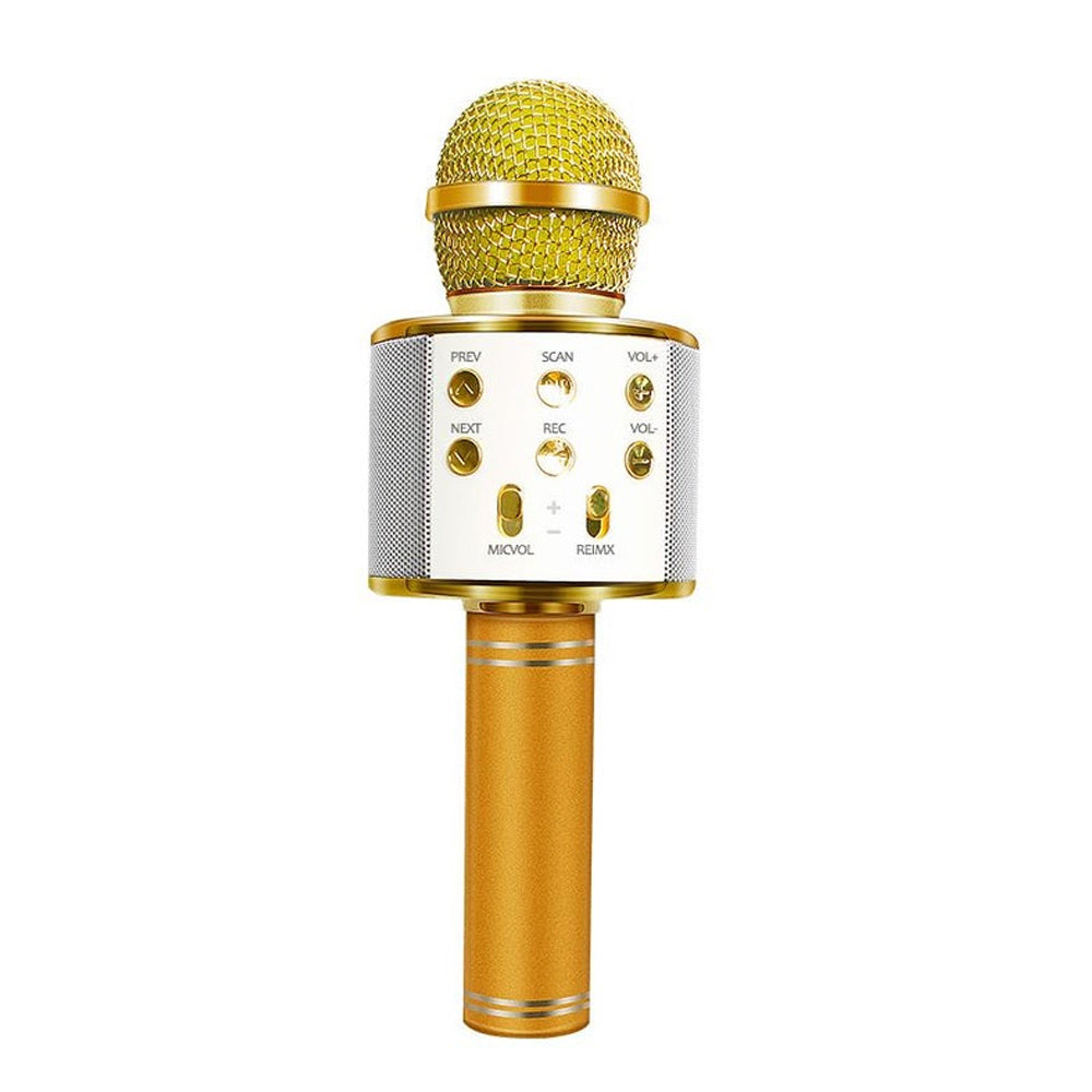 Compact Bluetooth Karaoke Mic Speaker