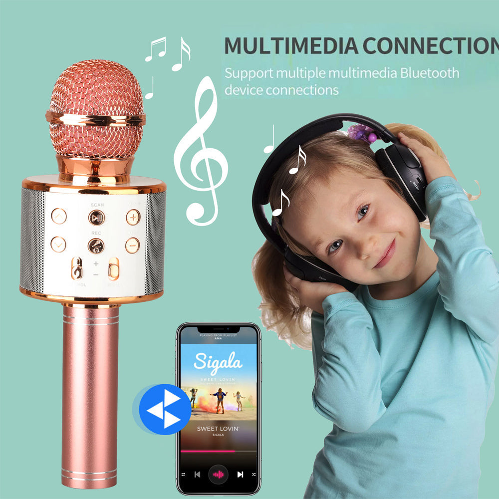 Compact Bluetooth Karaoke Mic Speaker