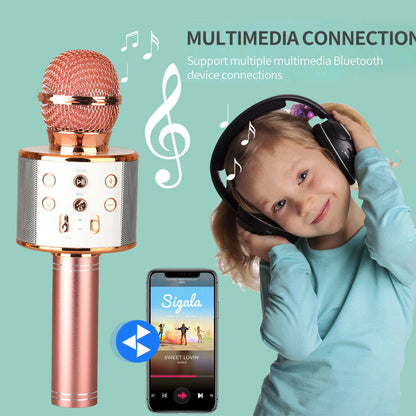 Compact Bluetooth Karaoke Mic Speaker