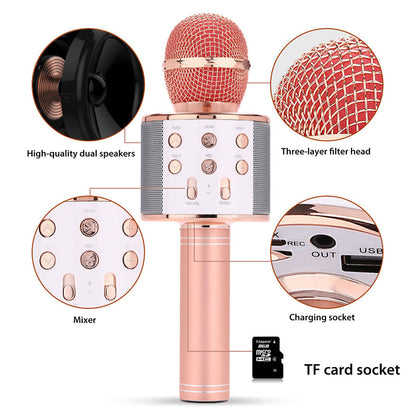 Compact Bluetooth Karaoke Mic Speaker