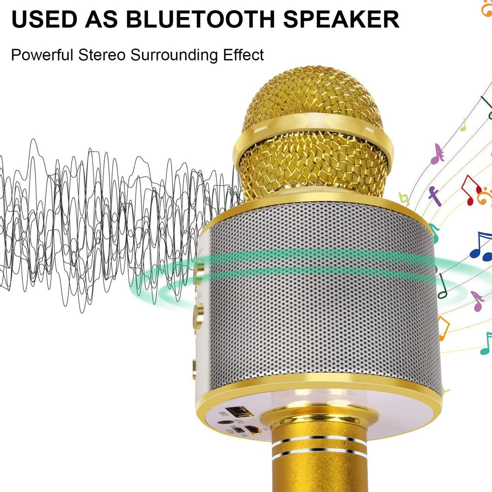 Compact Bluetooth Karaoke Mic Speaker