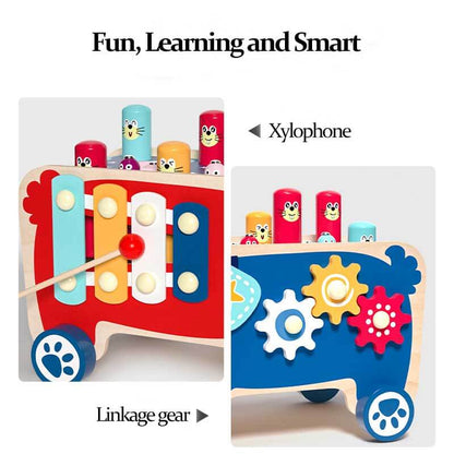 Colorful Kids Educational Music Instrument