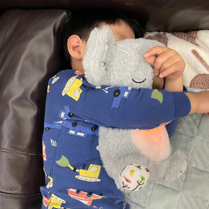 Cozy Plush Teddy Bear