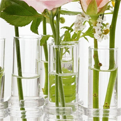Beautiful Clear Flower Vase Set