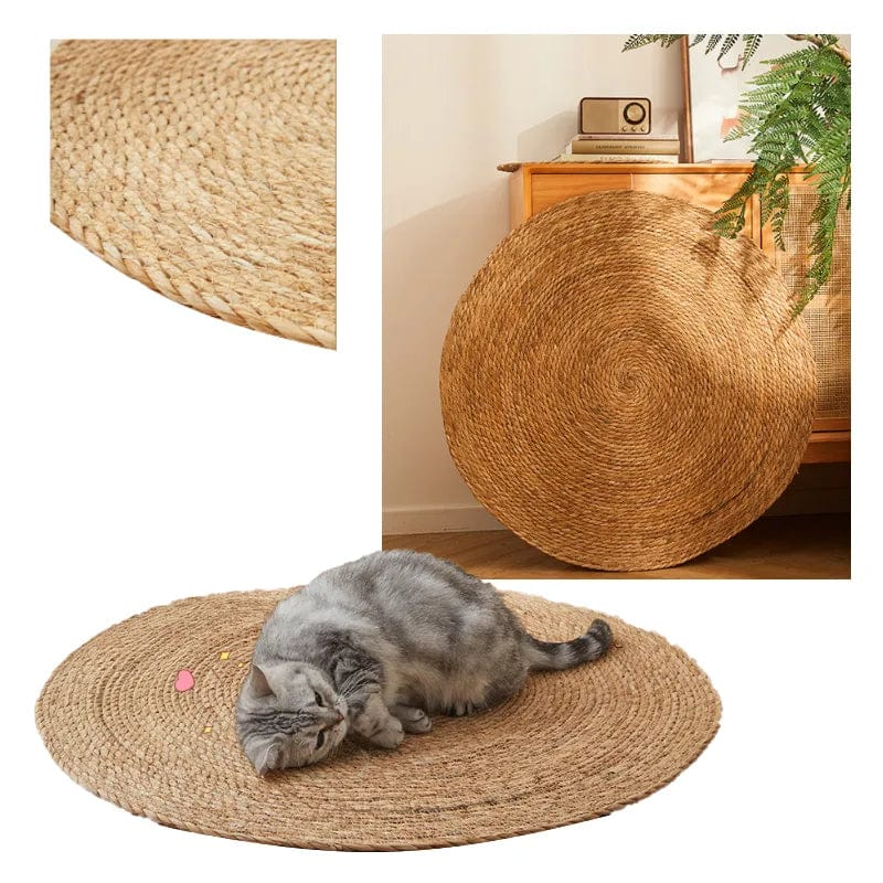 Pet Scratch Resistant Low Profile Mat