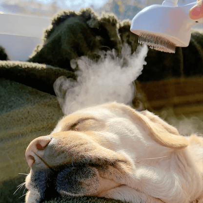 Easy Pet Grooming Steam Brush for Dogs