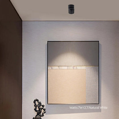 Adjustable 360° Rotating LED Ceiling Light Fixture - Luxicro
