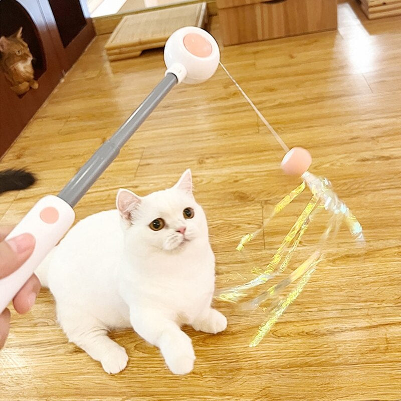 Colorful Feather Interactive Cat Toy