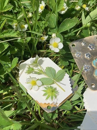 Easy Flower Drying Kit Home Preservation