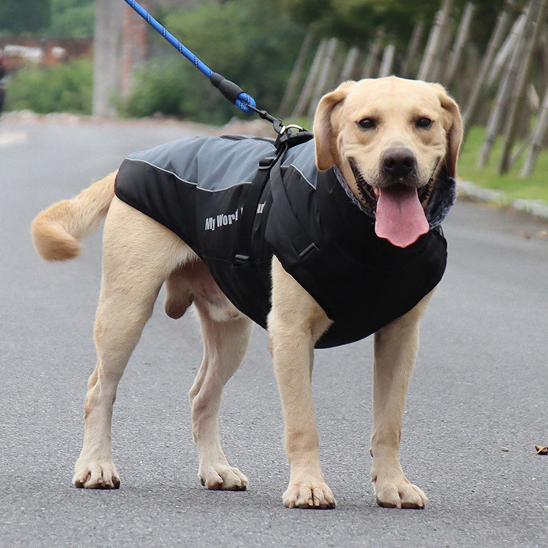 Waterproof Insulated Dog Coats - Luxicro