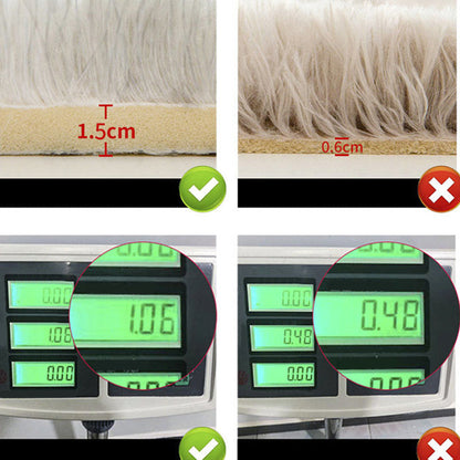 Cozy Shaggy Multicolor Living Room Area Rug Stain Free