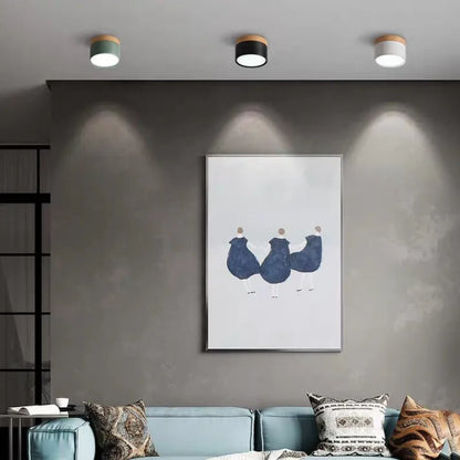 Slim Modern LED Ceiling Light