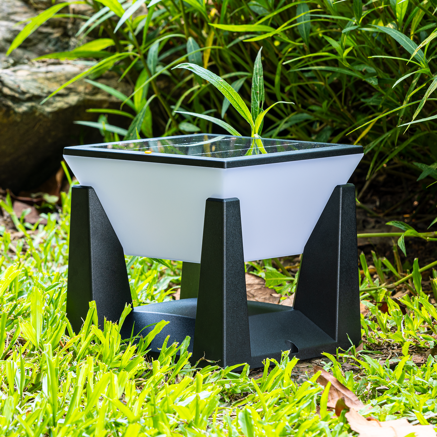 Solar Powered Outdoor Garden Light