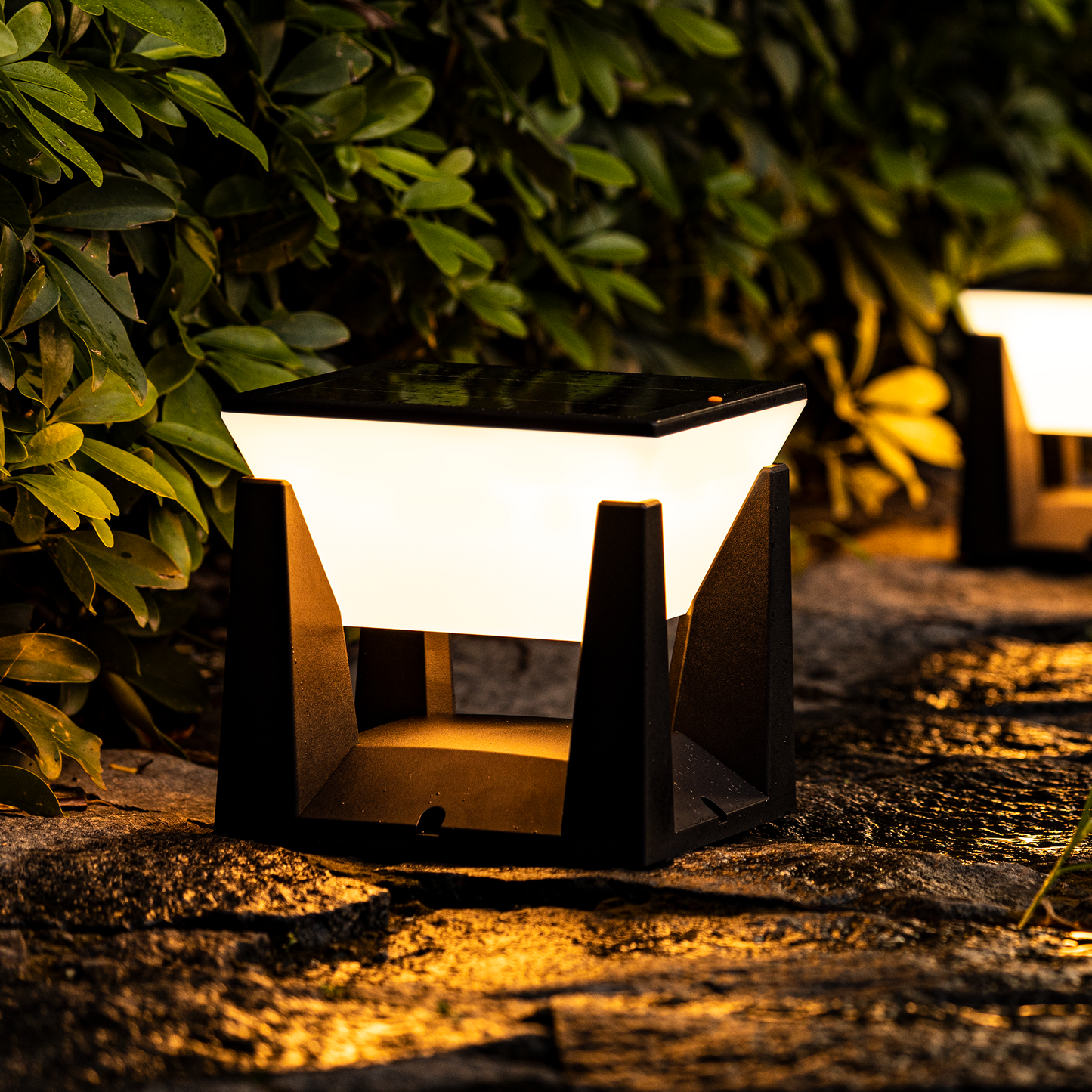 Solar Powered Outdoor Garden Light