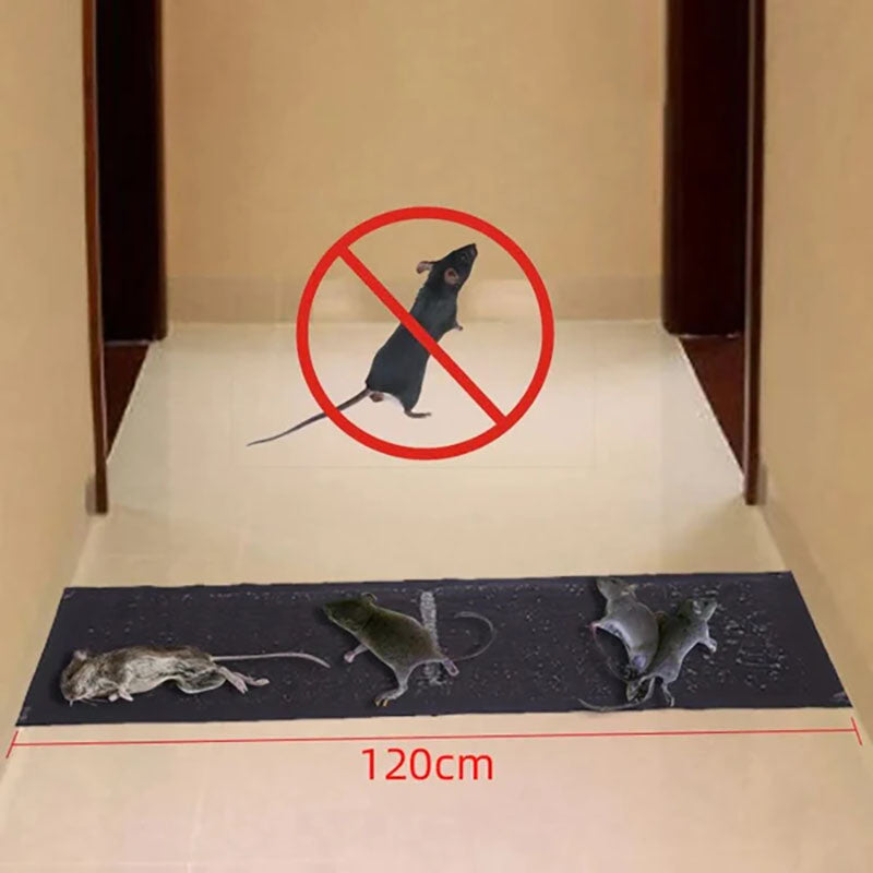Effective Mouse Catcher with Secure Hold