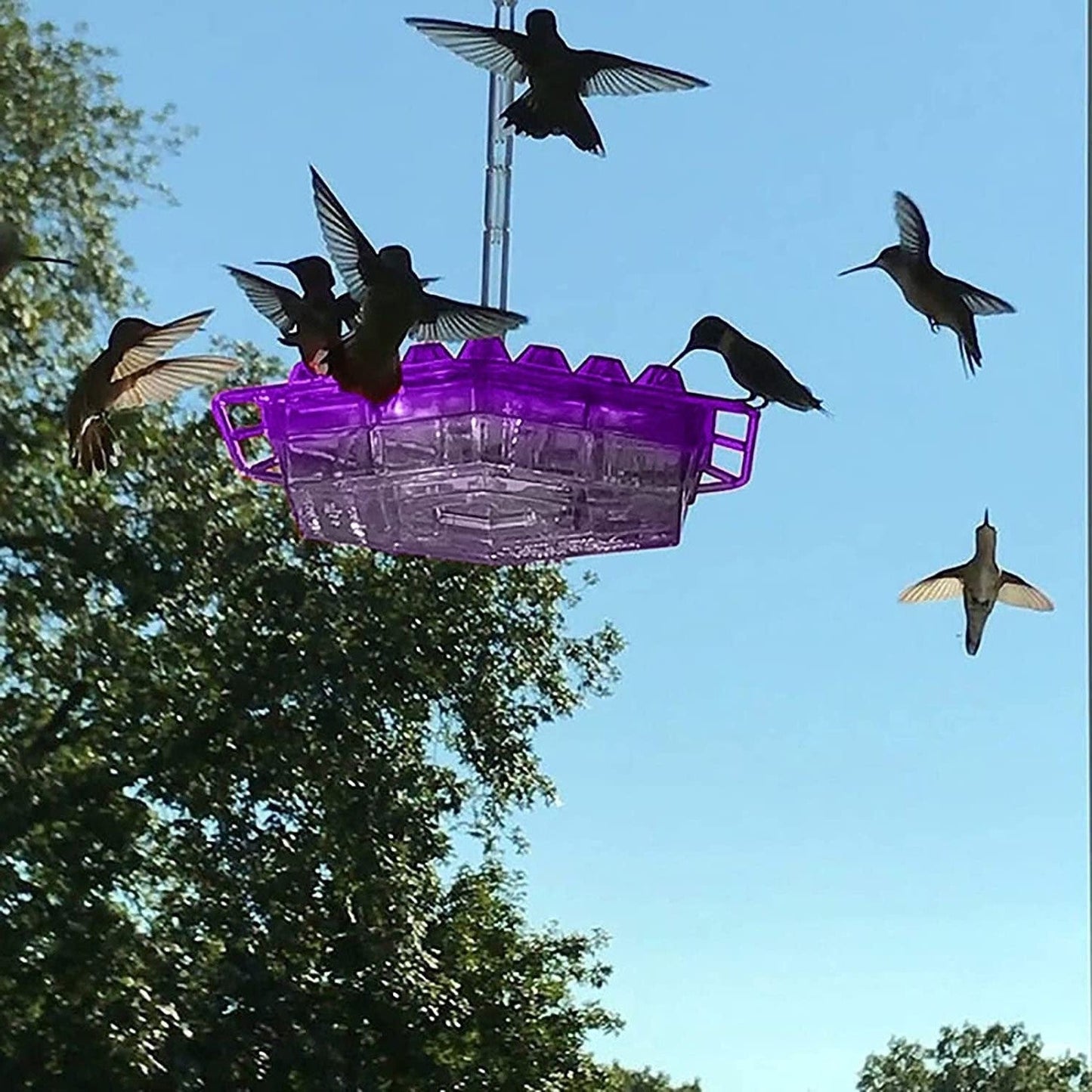 Easy Fill Bird Feeder with Ant Trap Outdoor Hanging Feeder - Luxicro